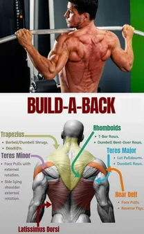 Upper Back Calisthenics: The Ultimate Guide to Building a Strong and Defined Back
